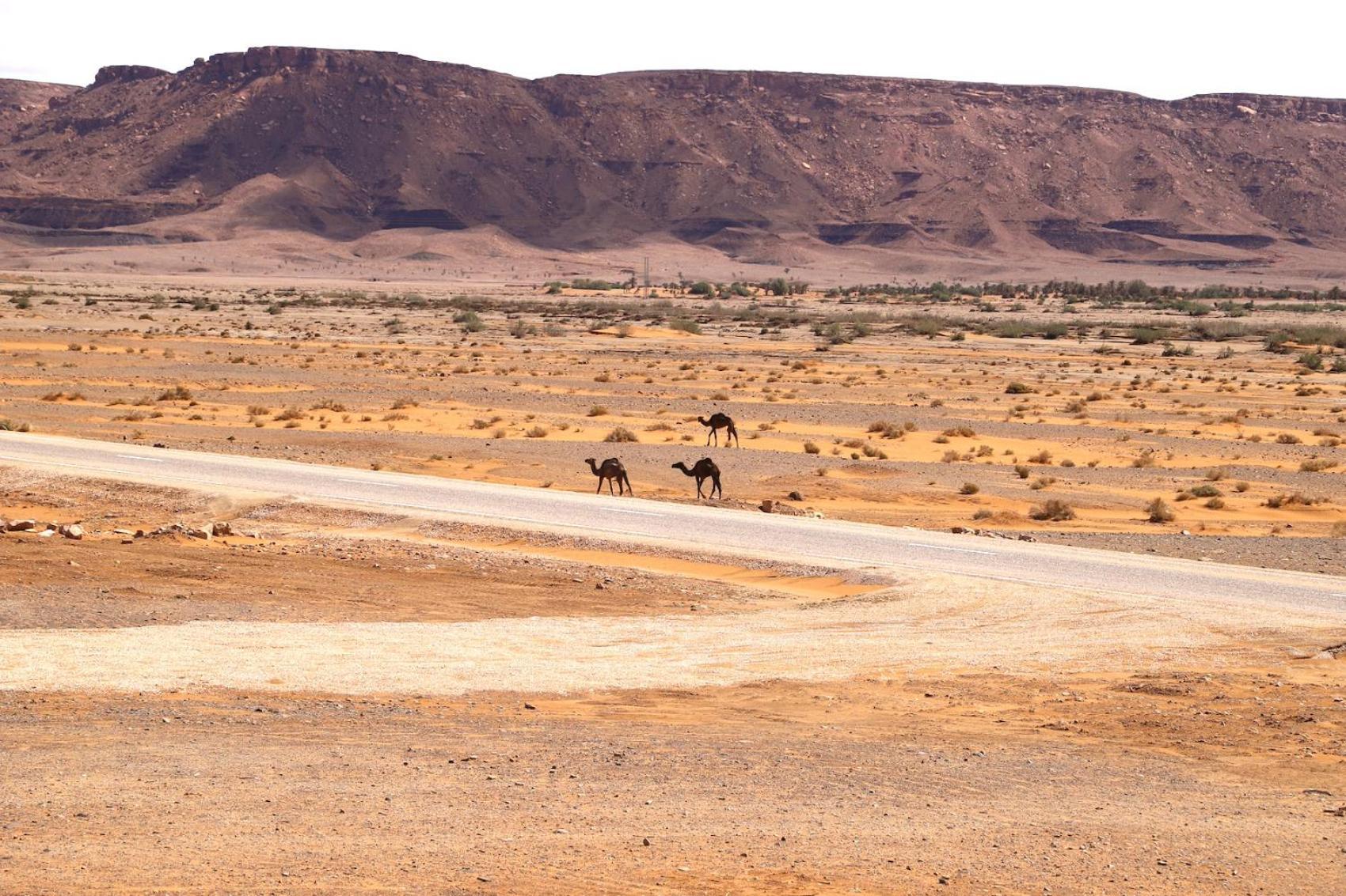 Porte De Sahara Ouzina Zewnętrze zdjęcie